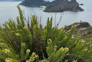 Tour privado Norte de España 10 días