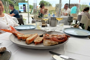 Tour privado Norte de España 10 días