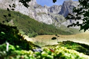 Santander: Picos, Santo Toribio Monastery and Potes Day Tour