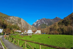 Somiedo naturpark og landsbyer på tur fra Oviedo