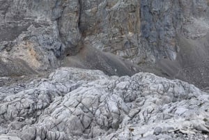 Tour privado - La cabaña perdida: ruta de senderismo a la Cabaña Verónica