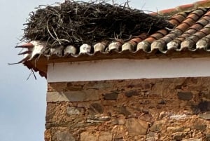 Tour por Oviedo, Castrillo de Polvazares, Astorga y la catedral de León