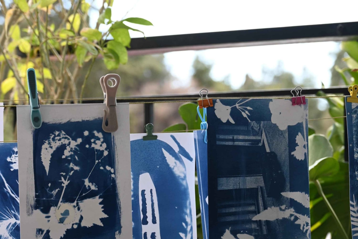 Capture by the sunbean-Cyanotype Workshop in Athens