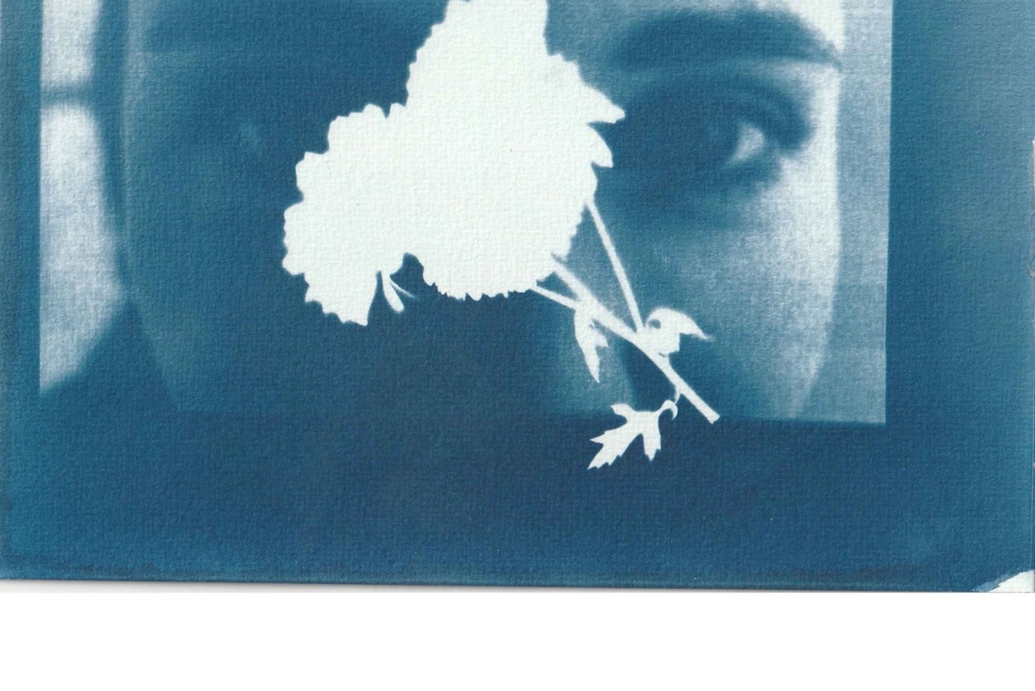 Capture by the sunbean-Cyanotype Workshop in Athens