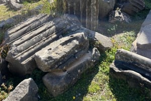 Jednodniowa wycieczka do Delf z Aten z przystankiem w Arachowej.