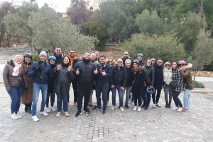 Acropolis e-Bike Adventure & Private Athens Seaside Tour