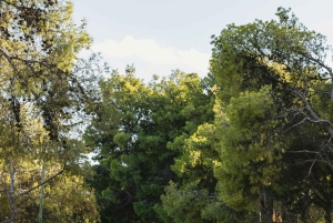 Akropolis & Lycabettus: Versteckte Juwelen von Athen entdecken