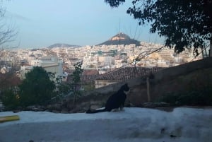 Akropol, Partenon i Plaka, piesza wycieczka po Monastiraki