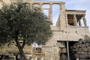 Visita Premium de 2 horas à Acrópole em grupo pequeno (máx. 12 pessoas)