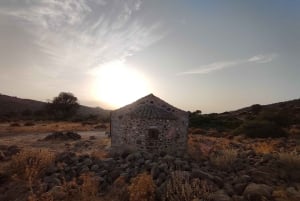 Aegina: Tur til den gamle olivenlund (Eleonas) og landsbyen Perdika