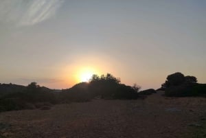 Aegina: Tur til den gamle olivenlund (Eleonas) og landsbyen Perdika