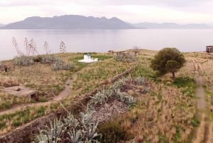 Aegina: Tur til den gamle olivenlund (Eleonas) og landsbyen Perdika