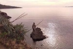 Aegina: Tur til den gamle olivenlund (Eleonas) og landsbyen Perdika