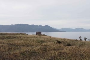 Aegina: Tur til den gamle olivenlund (Eleonas) og landsbyen Perdika