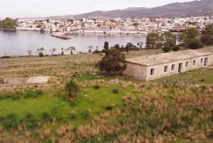Aegina: Tur til den gamle olivenlund (Eleonas) og landsbyen Perdika