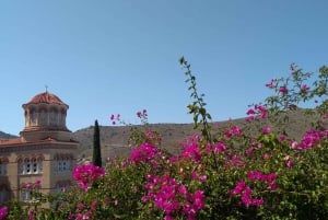 Ilha de Aegina e Templo de Athina Aphaia Tour particular de um dia