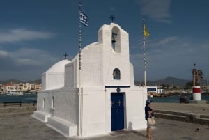 Privat dagstur til øya Aegina og Athina Aphaia-tempelet