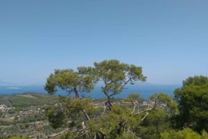 Privat dagstur til øya Aegina og Athina Aphaia-tempelet