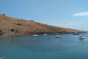 Privat dagstur till ön Aegina och templet Athina Aphaia