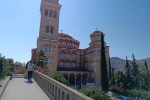 Aegina Island & Temple of Athina Aphaia Private Day Tour