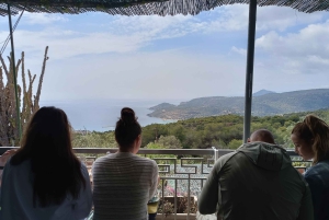 Aegina Island & Temple of Athina Aphaia Private Day Tour