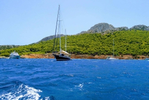 Aegina Island & Temple of Athina Aphaia Private Day Tour