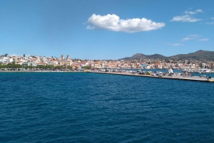 Aegina Island & Temple of Athina Aphaia Private Day Tour