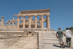 Aegina Island & Temple of Athina Aphaia Private Day Tour