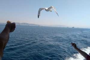 Aegina Island & Temple of Athina Aphaia Private Day Tour