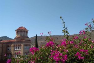 Aegina Island & Temple of Athina Aphaia Private Day Tour