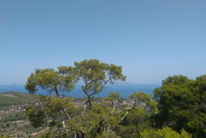 Aegina Island & Temple of Athina Aphaia Private Day Tour