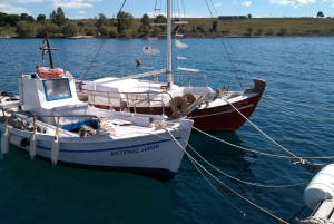 Aegina Island & Temple of Athina Aphaia Private Day Tour