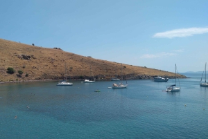 Aegina Island & Temple of Athina Aphaia Private Day Tour