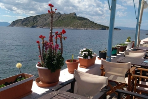 Aegina Island & Temple of Athina Aphaia Private Day Tour