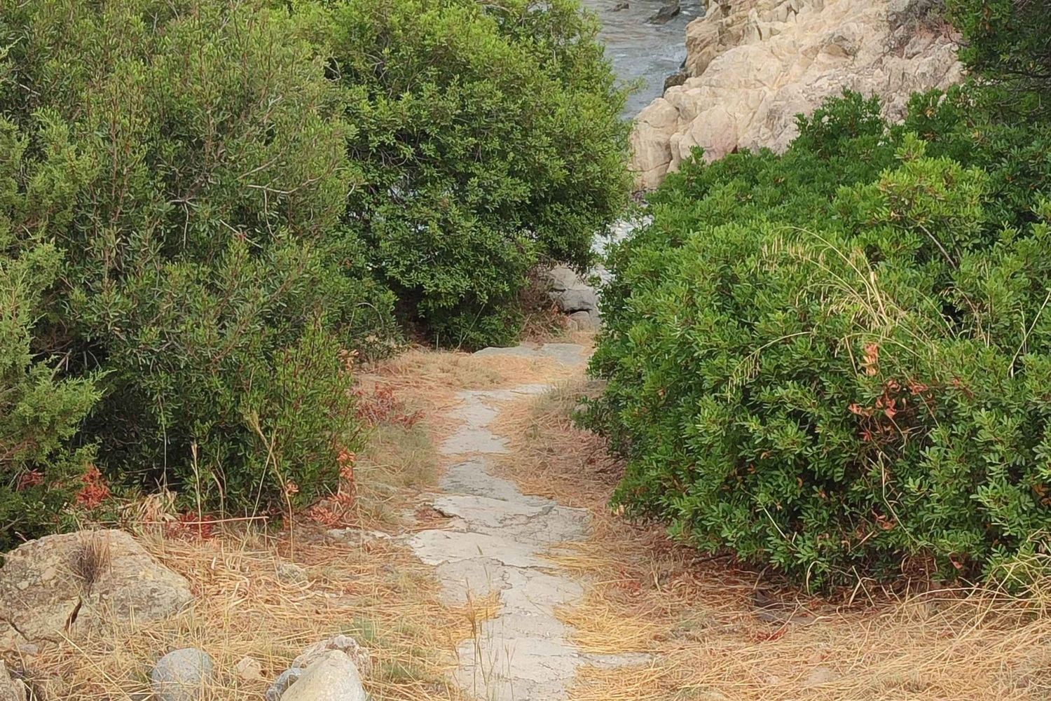 Aegina: Secret Beaches Alternative Tour