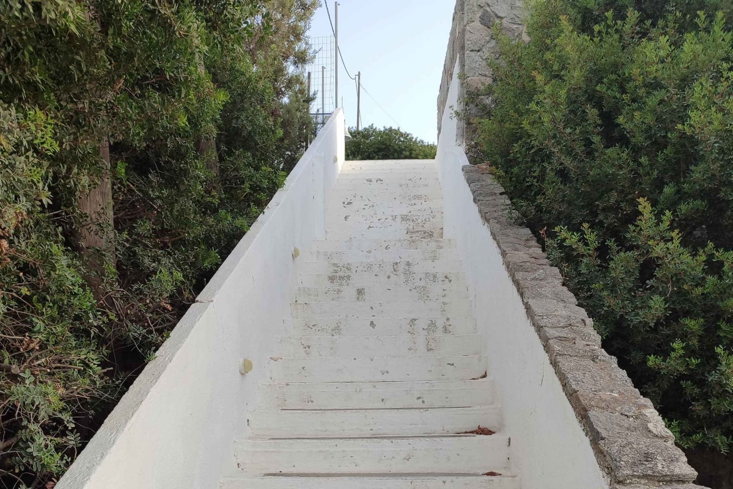 Aegina: Aphaian temppeli ja Agia Marinan kyläkierros