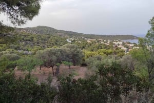 Aegina: Aphaian temppeli ja Agia Marinan kyläkierros