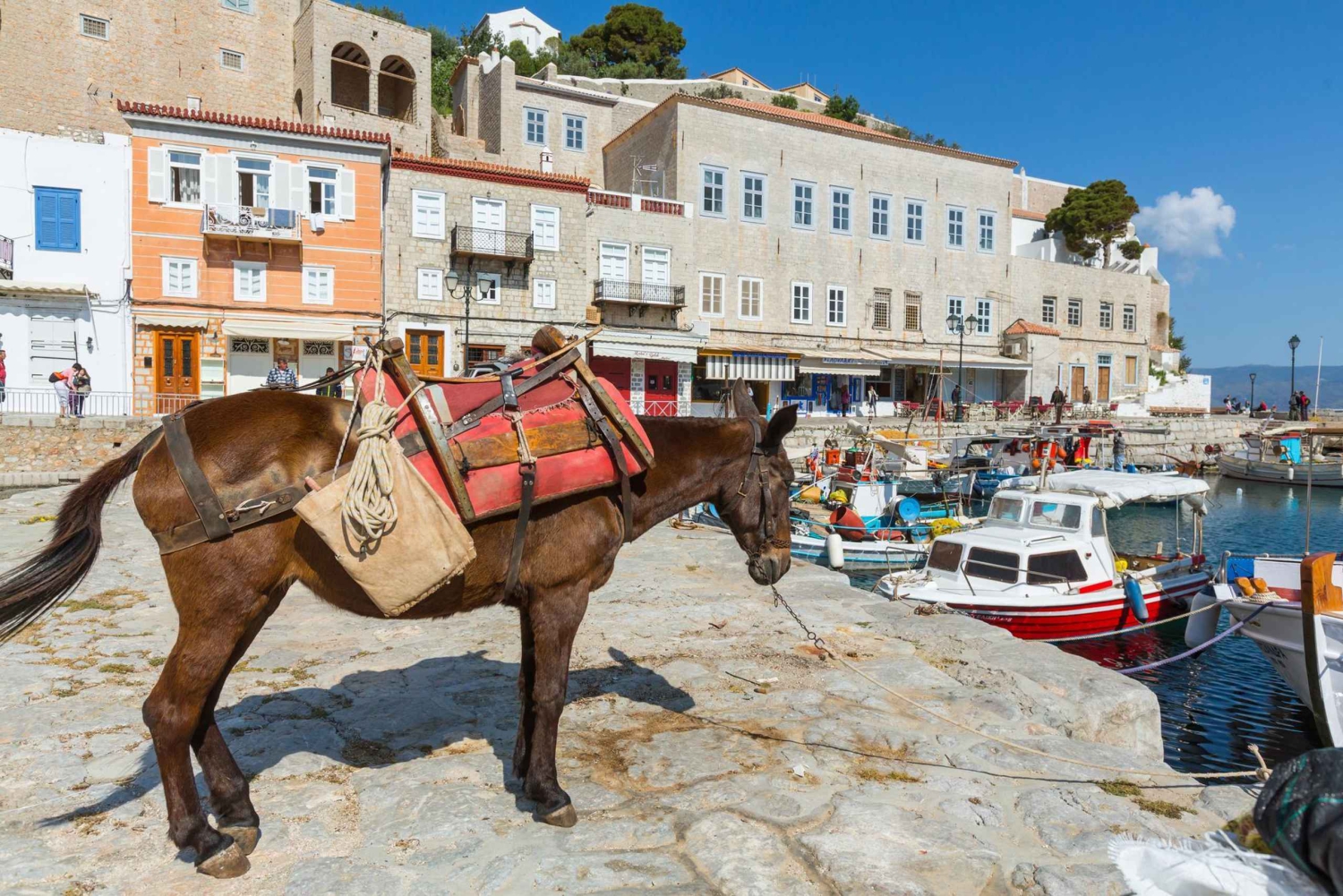 'All-Day Private Excursion to Hydra Island from Athens'