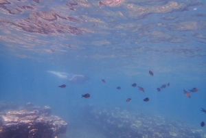 Antikkens Korint, Mykene og snorkling i den sunkne byen