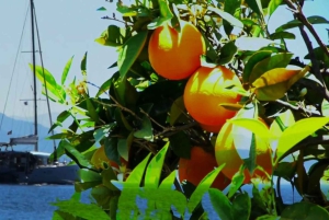 Antikkens Korint, Mykene og snorkling i den sunkne byen