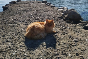 Antikkens Korint, Mykene og snorkling i den sunkne byen