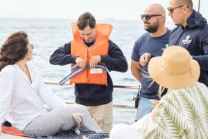 Athens 1-Day 4-Island Cruise: Agistri,Aegina,Metopi,Salamina