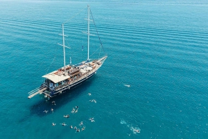 Aten 1-dagars kryssning till 4 öar: Agistri, Aegina, Metopi, Salamina