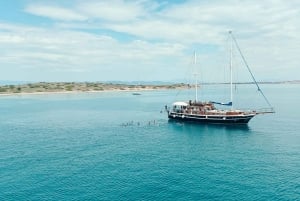 Aten 1-dagars kryssning till 4 öar: Agistri, Aegina, Metopi, Salamina