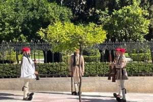 Athene: Hoogtepunten van de Akropolis en de stad Halve Dag Tour