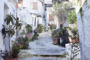 Athens: Acropolis and Old Town Private Walking Tour