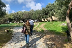 Athens: Acropolis and Old Town Private Walking Tour
