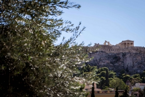 Athens: Acropolis Beat the Crowds Afternoon Guided Tour