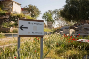 Athènes : Visite guidée de l'après-midi à l'Acropole pour éviter la foule