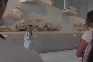 Aten: Tidig tillgång till Akropolis och guidad tur på museet